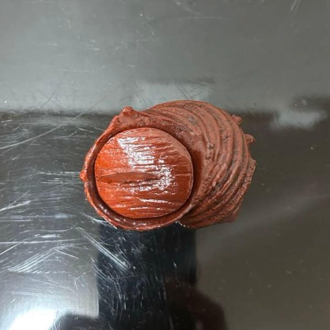 川瀬表完　天然胎さざえ香合　茶道具懐石茶箱鵬雲斎坐忘斎淡々斎即中斎茶碗水指茶杓棗