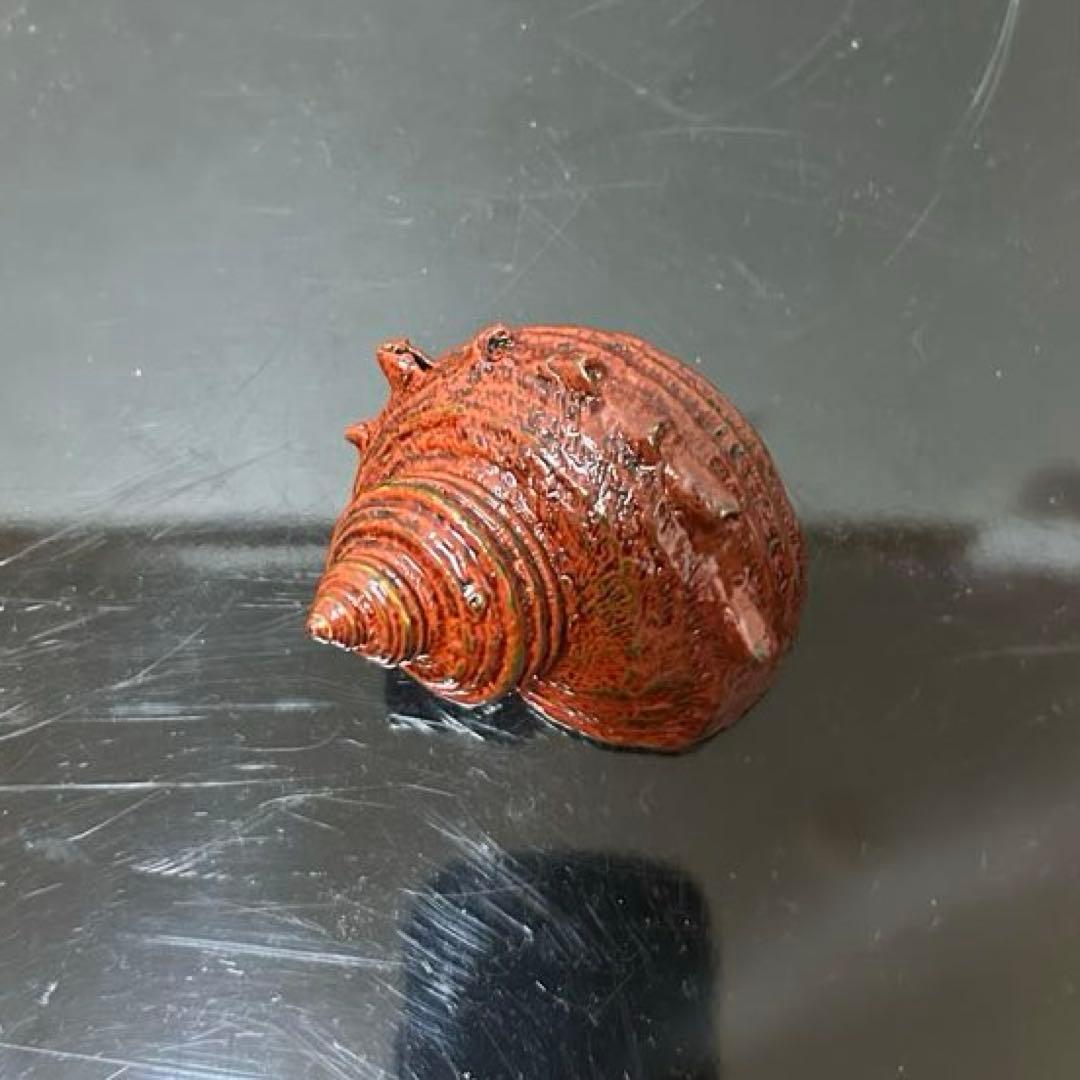 川瀬表完　天然胎さざえ香合　茶道具懐石茶箱鵬雲斎坐忘斎淡々斎即中斎茶碗水指茶杓棗