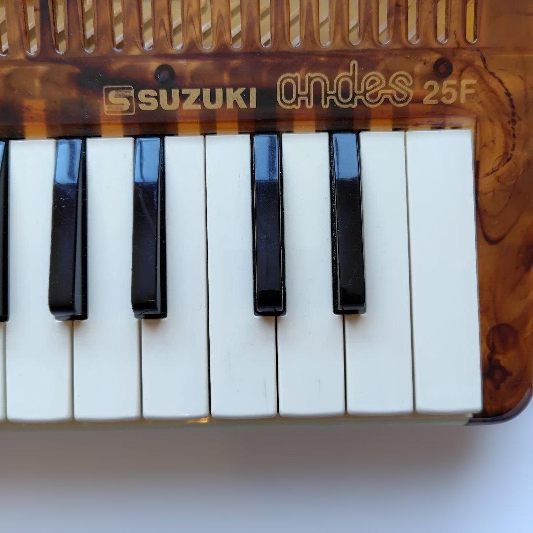 スズキ アンデス 25F べっ甲柄