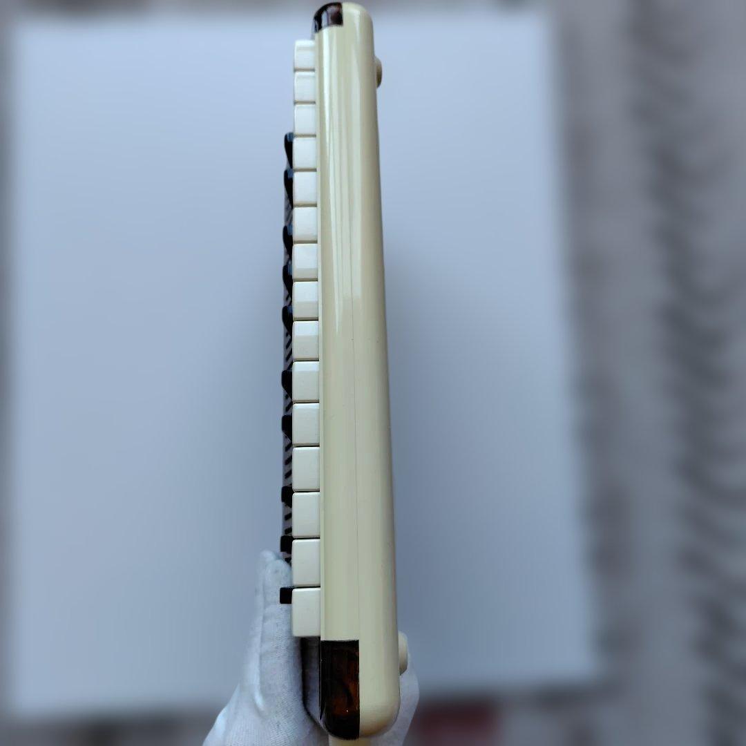 スズキ アンデス 25F べっ甲柄