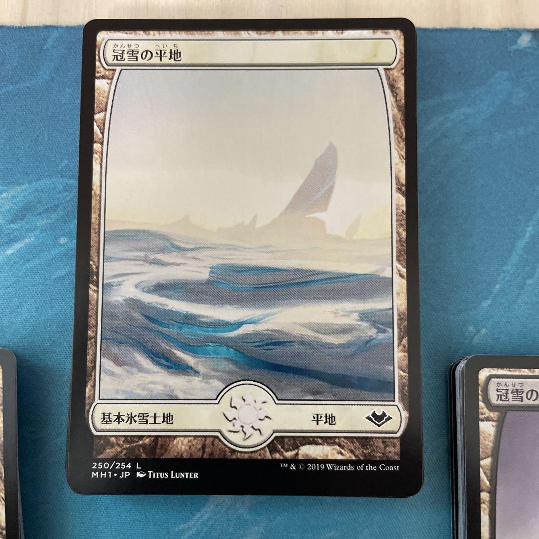 MTG 冠雪土地　日本語　モダンホライゾン