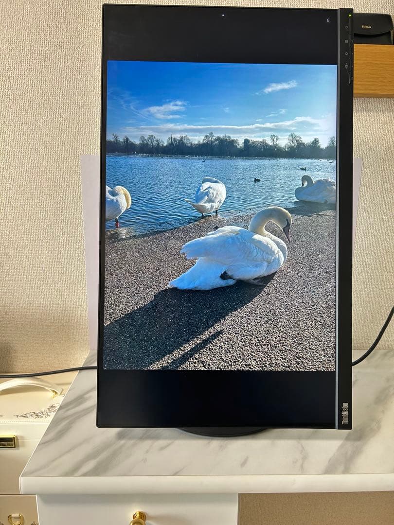 Lenovo モニター⭐︎27インチ WQHD P27h-10