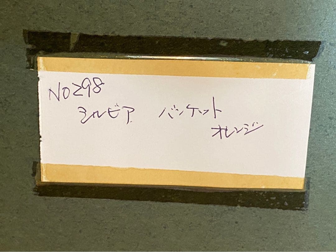 シルビア 花 薔薇 花瓶 バンケット オレンジ背景 額縁 アート