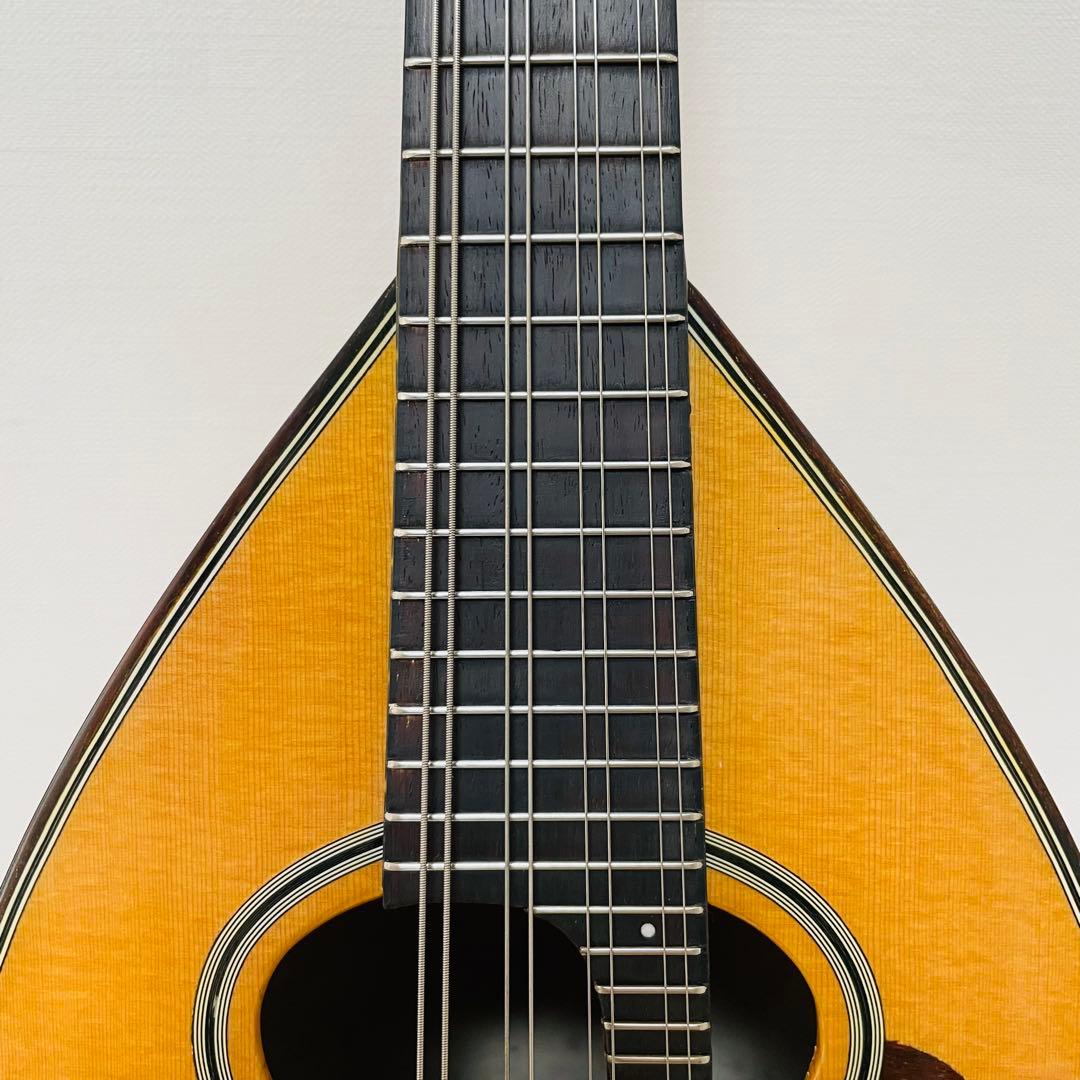 ★極美品★ SUZUKI スズキ M-100 マンドリン 生産完了品