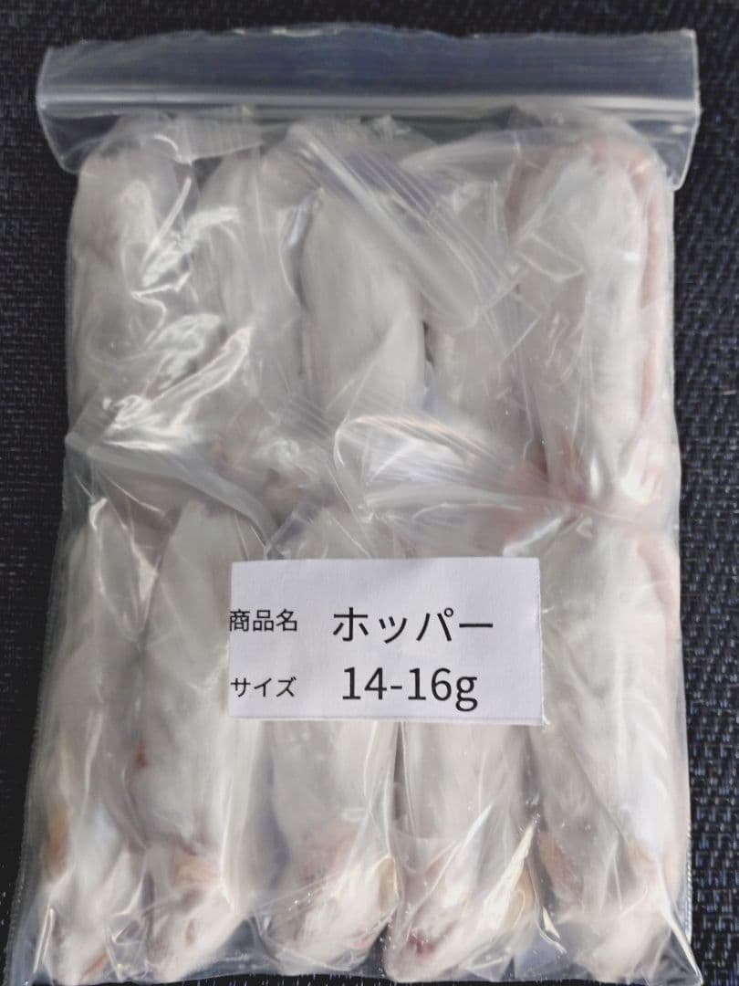 送料無料　冷凍マウスホッパー100匹
