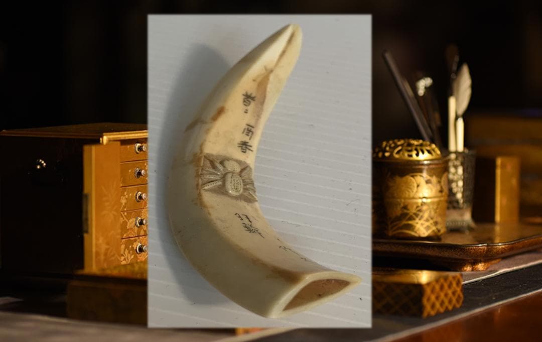 ●石見根付 ●蜘蛛 ●猪牙 古牙 獣牙 時代物 骨董 いのしし