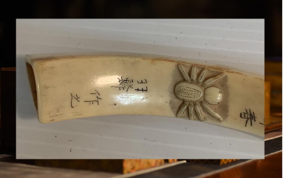 ●石見根付 ●蜘蛛 ●猪牙 古牙 獣牙 時代物 骨董 いのしし