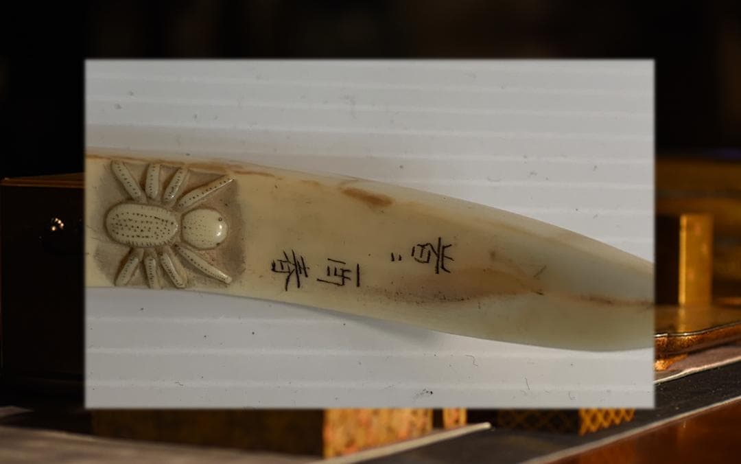 ●石見根付 ●蜘蛛 ●猪牙 古牙 獣牙 時代物 骨董 いのしし