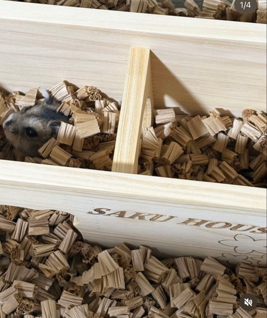 はーやんふぁむページ グラスハーモニー600 Nカジカジカミカミ防止ロフト