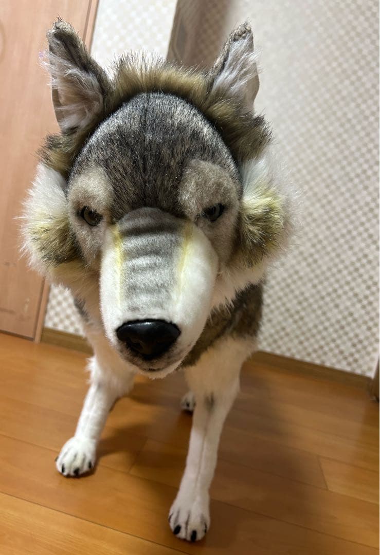 引取り限定 HANSA シンリンオオカミ リアル　ぬいぐるみ