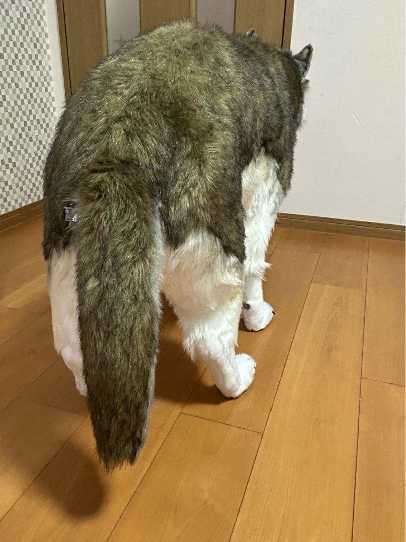 引取り限定 HANSA シンリンオオカミ リアル　ぬいぐるみ