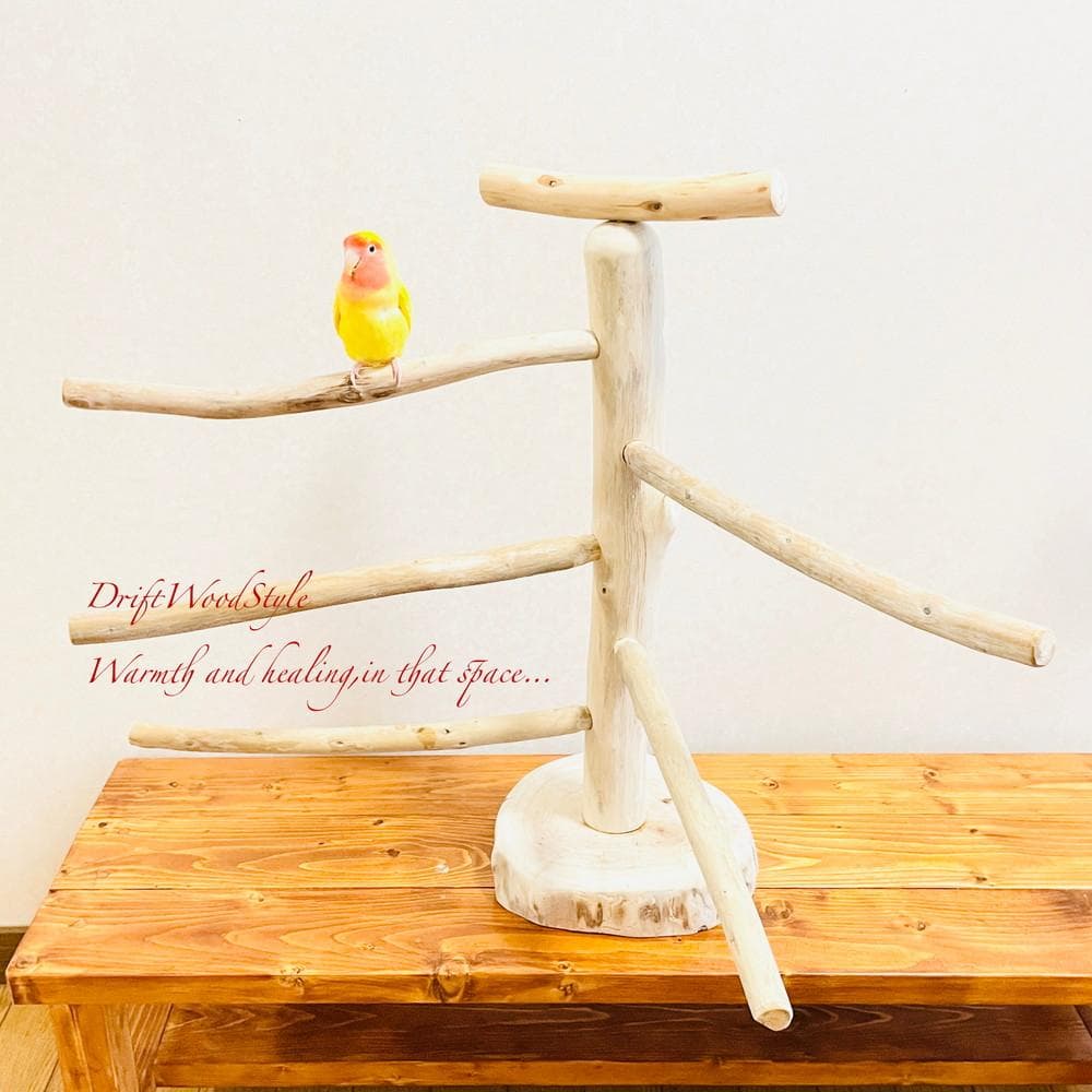 取り外しできる天然流木の止まり木 Lサイズ スタンド 木製 インコ N1