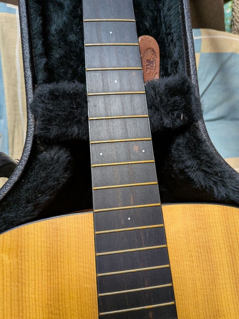 Larrivée アコースティックギター 6弦