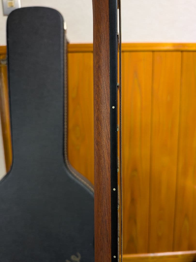 Larrivée アコースティックギター 6弦