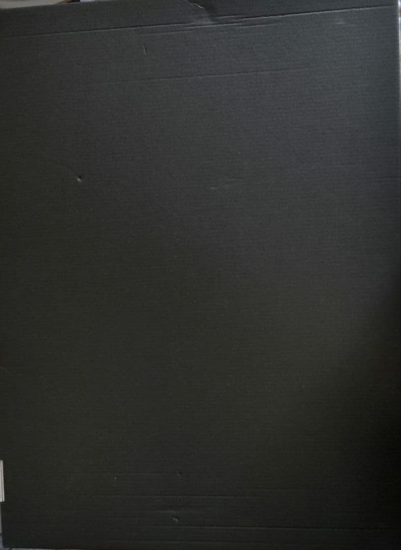 ライアーライアー　メタライズアート　シリアルナンバー入り　姫路白雪