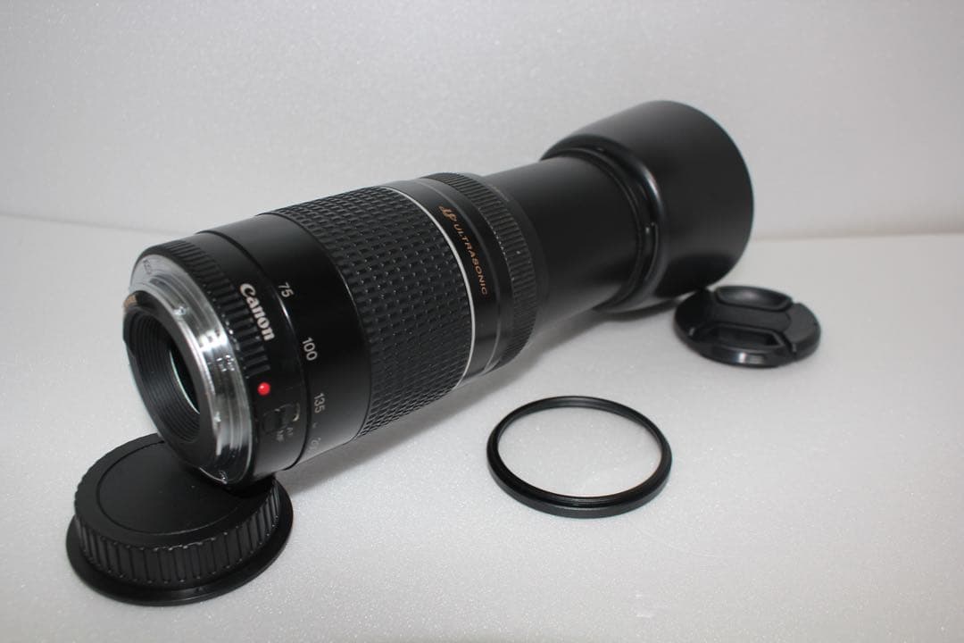 フード付/迫力の300mm/Canon EF75-300