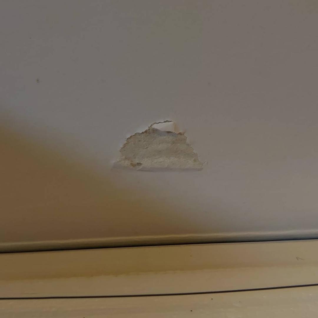 アート・ストーム POSE＋ 勇者王ガオガイガー ダイキャスト製