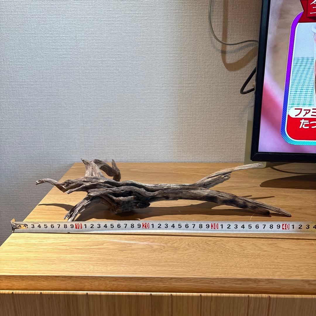 【早い者勝ち】 ADA流木 3本（まとめ買い500円引）