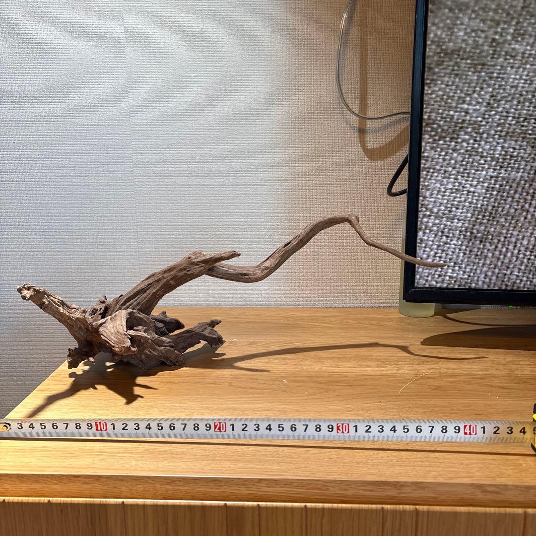 【早い者勝ち】 ADA流木 3本（まとめ買い500円引）