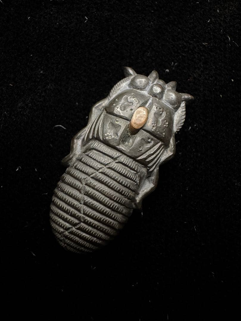 目貫 片目貫 在銘 赤銅地 蝉図 日本刀 刀装具 骨董 古美術 江戸時代 時代物