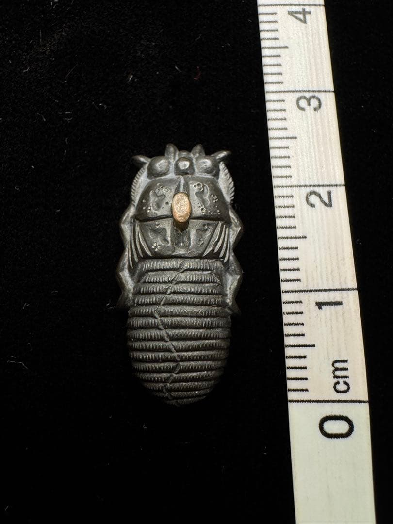 目貫 片目貫 在銘 赤銅地 蝉図 日本刀 刀装具 骨董 古美術 江戸時代 時代物