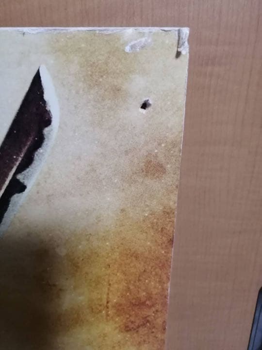 映画 るろうに剣心 レッドカーペット　イベント時使用パネル