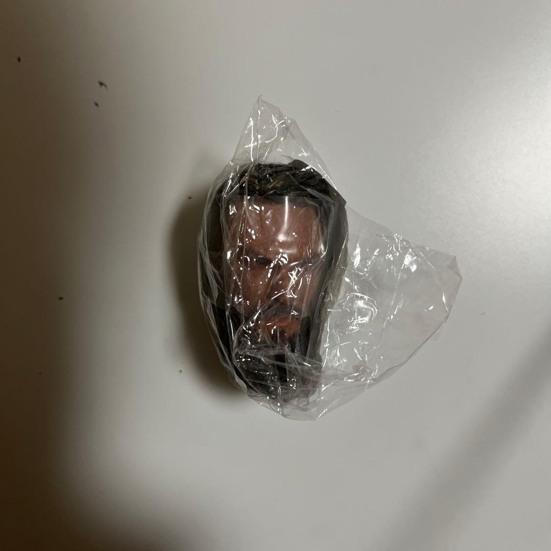 ジェイソン・モモア フィギュア ヘッド 1/6 スタチュー アクアマン アメコミ