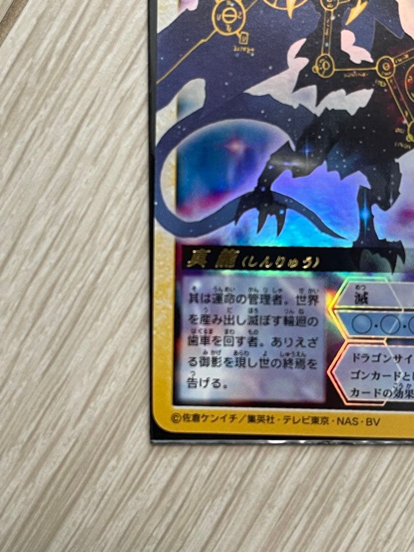 ドラゴンドライブ　真龍