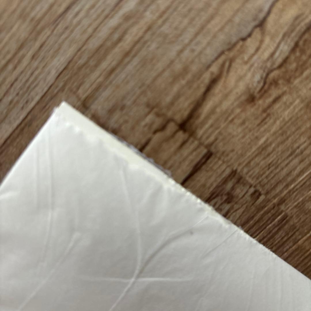 Denim Dungaree デニムダンガリー SNOOPYポスター２枚セット