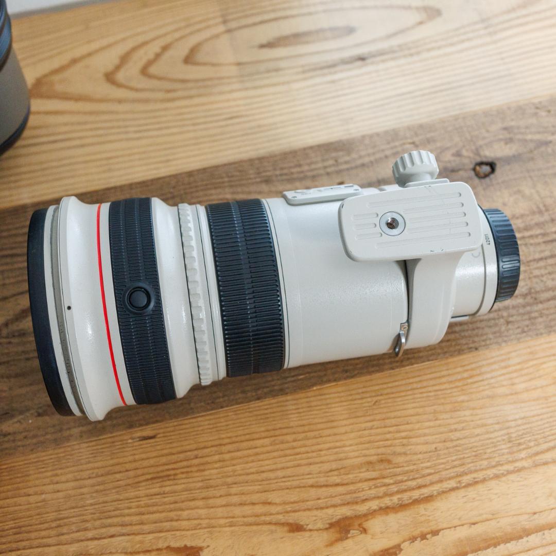美品 キヤノン EF300mm F2.8L IS USM ケース付き