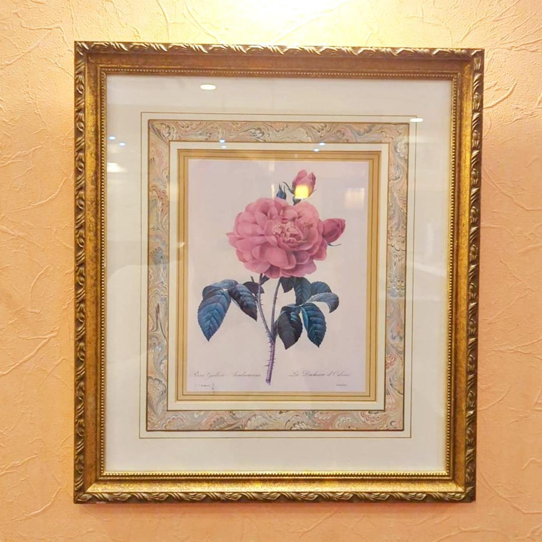 ◇P.J.Redoute　H.HAL CHICAGO KRAMER　薔薇　絵画