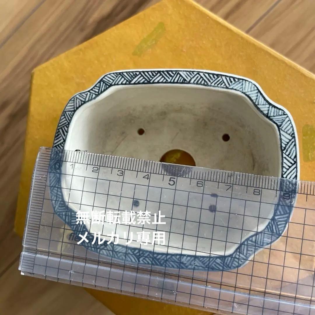 ミニ盆栽鉢　桑津香石　絵鉢　長方形　岩波　鳥　かもめ　小品盆栽