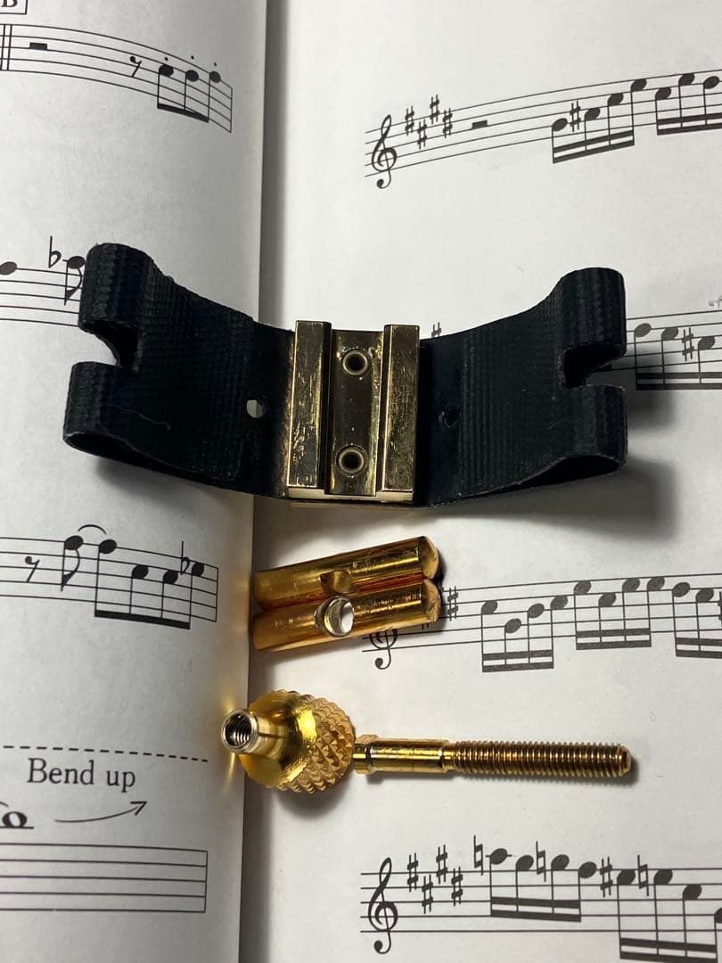 Eddie Daniels エクスプレッションズ　リガチャー アルト　金メッキ