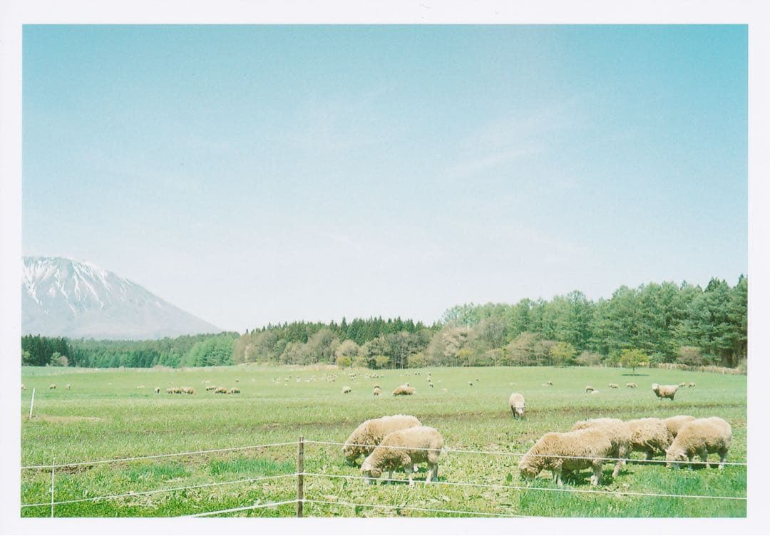 Fujifilm NATURA CLASSICA コンパクトカメラ