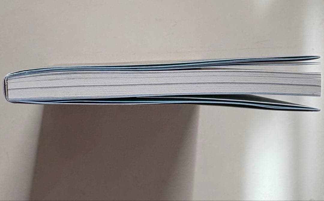 「見上げれば雲か」 天野滋