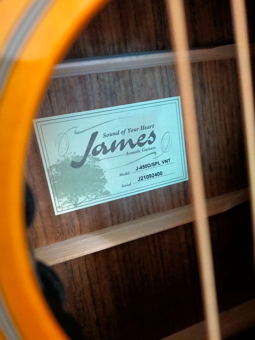 James J-450D/SPL VNT アコギ 牛骨仕様！弦高調整済！