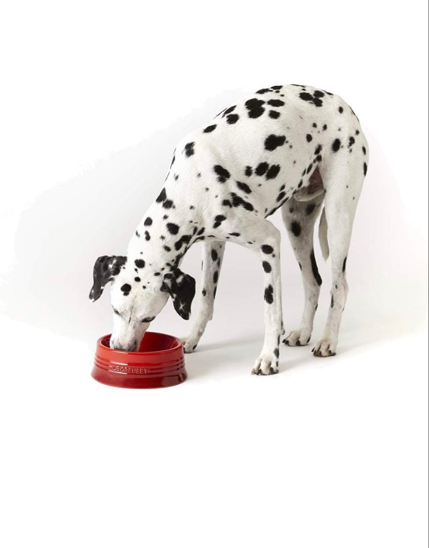 【美品】ル・クルーゼ　ペットボウル (L) レッド