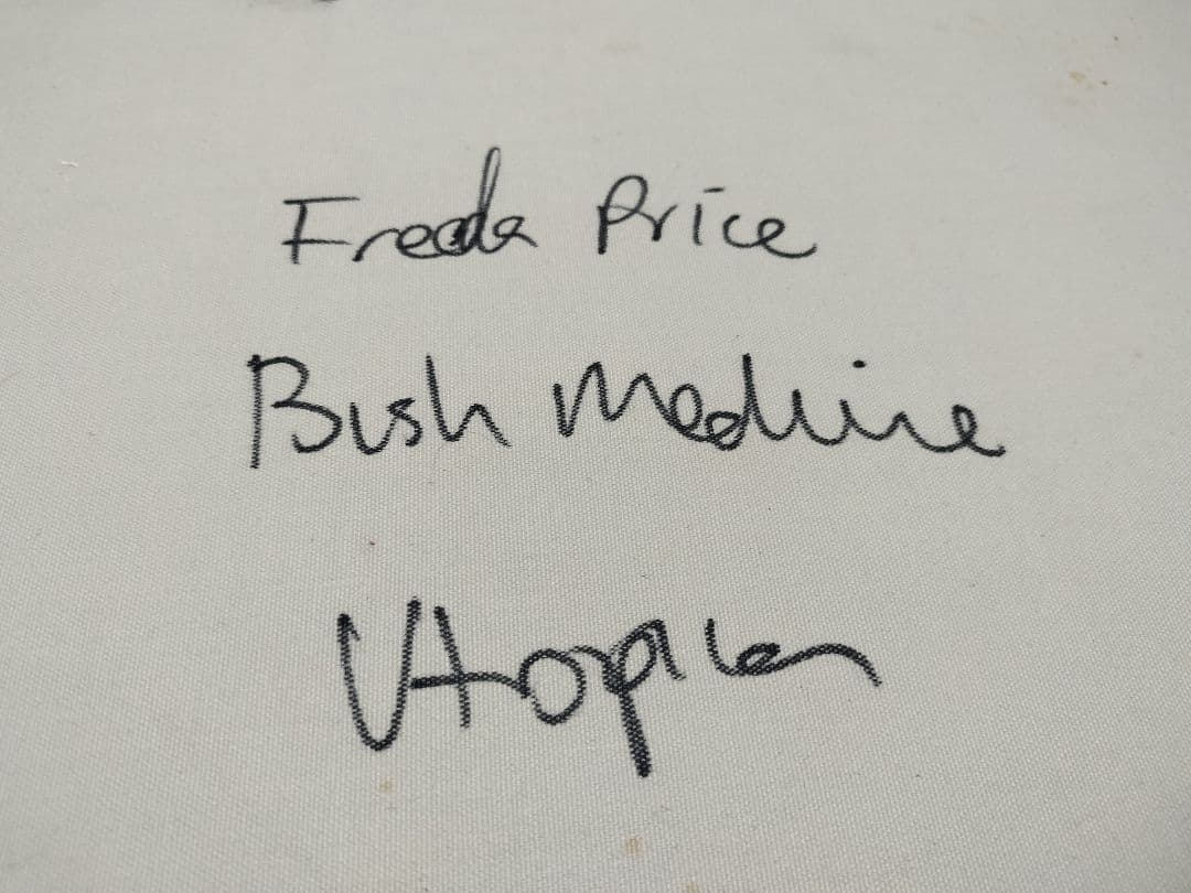 Freda Price Pitjara作 アボリジニアート