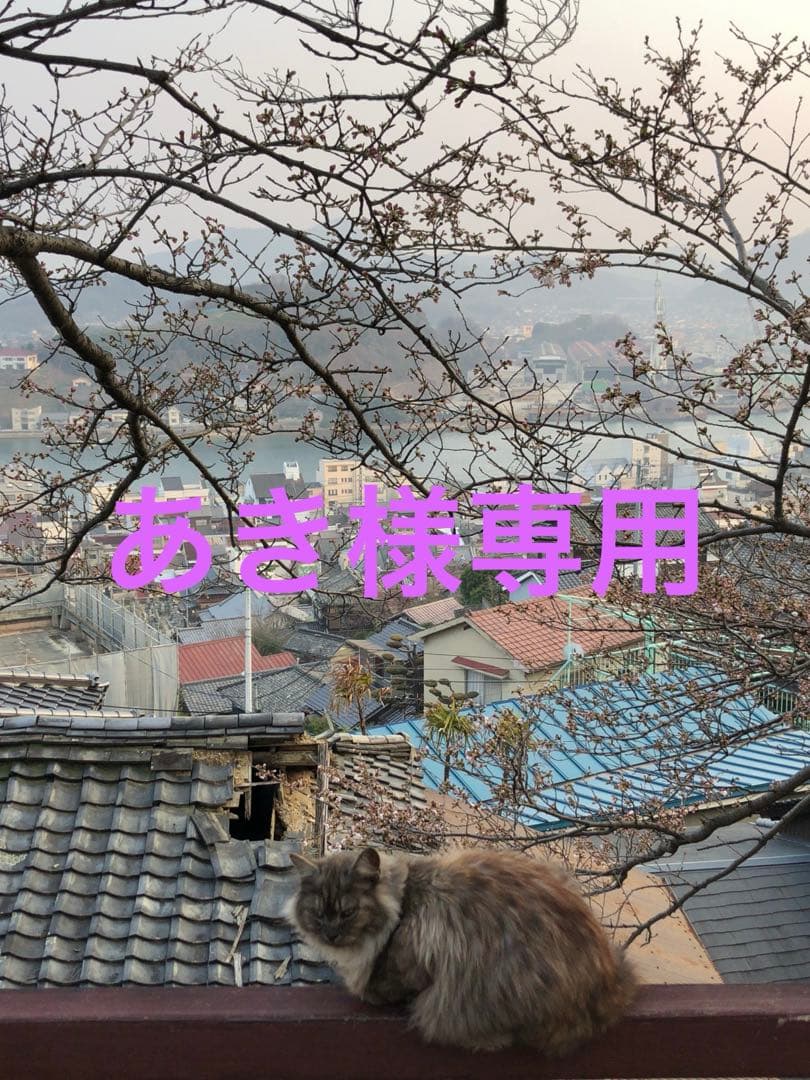 キュレル　リップクリーム 20本セット