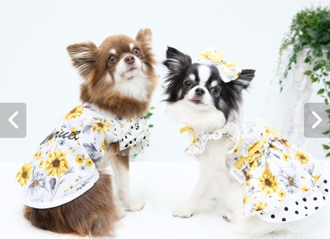 マルベル ひまわり ワンピース タンク セット Mサイズ