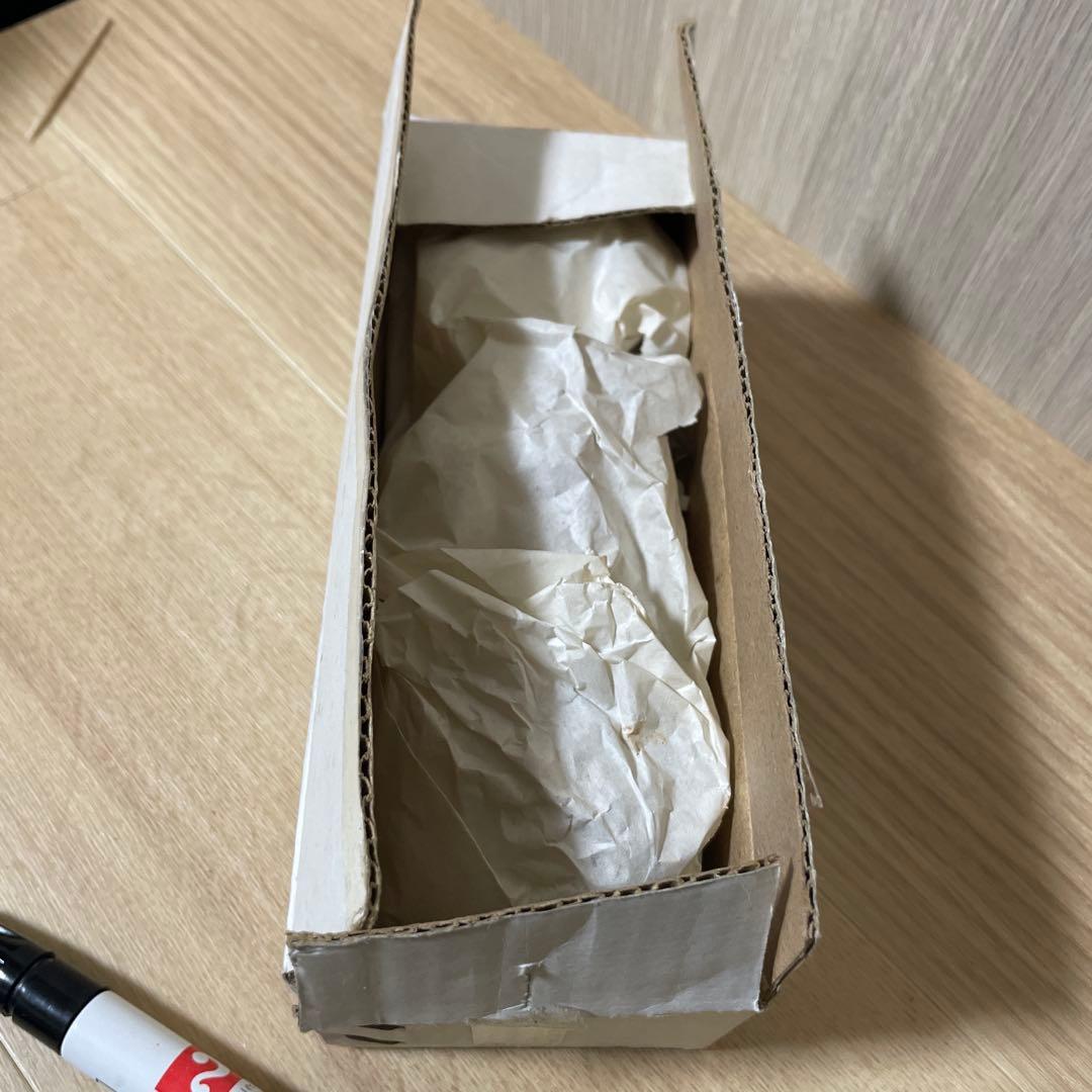 人体解剖模型 透明ボディ 内臓パーツ付き 教材用 Ln572