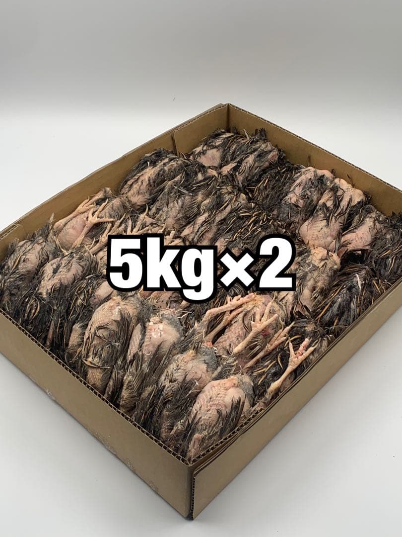 冷凍ウズラ5kg×2段【送料込】
