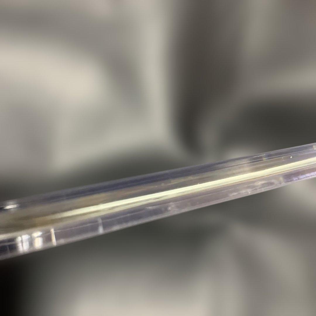 未開封プロモ ピカチュウ 019/L-P ポケモンだいすきクラブ ゴールド特典