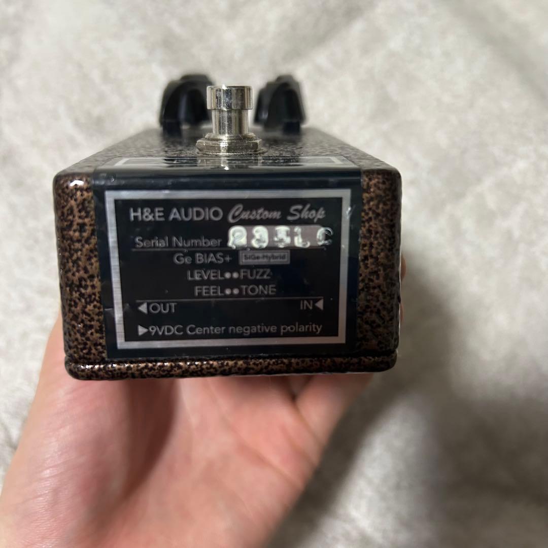 ギター H&E AUDIO enduro