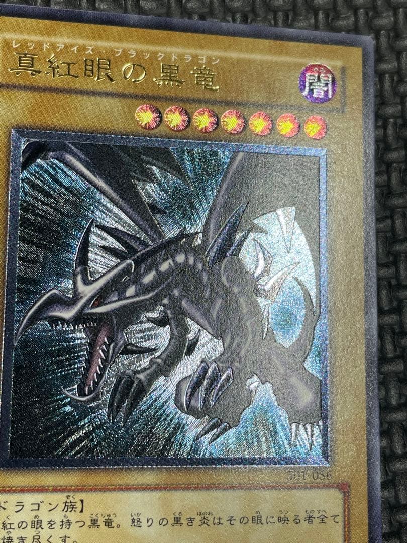 真紅眼の黒龍レリーフ　親知らず　極美品