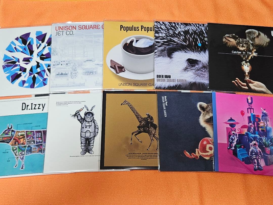 ユニゾンスクエアガーデン　レコード型コースター10種セット