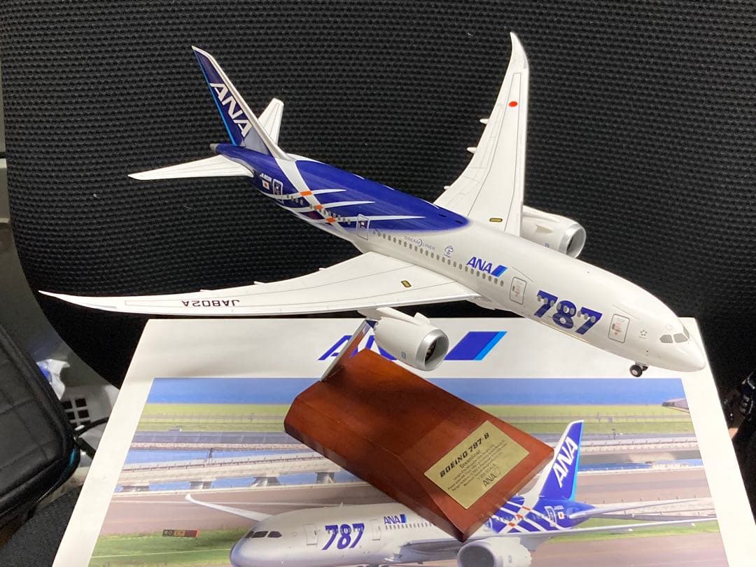ANA Boeing 787 - 8 特別塗装機 1/200