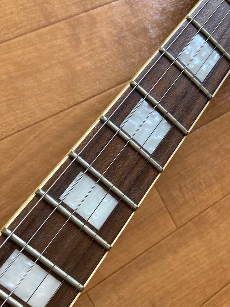 Blitz by AriaProII　レスポールカスタムタイプ