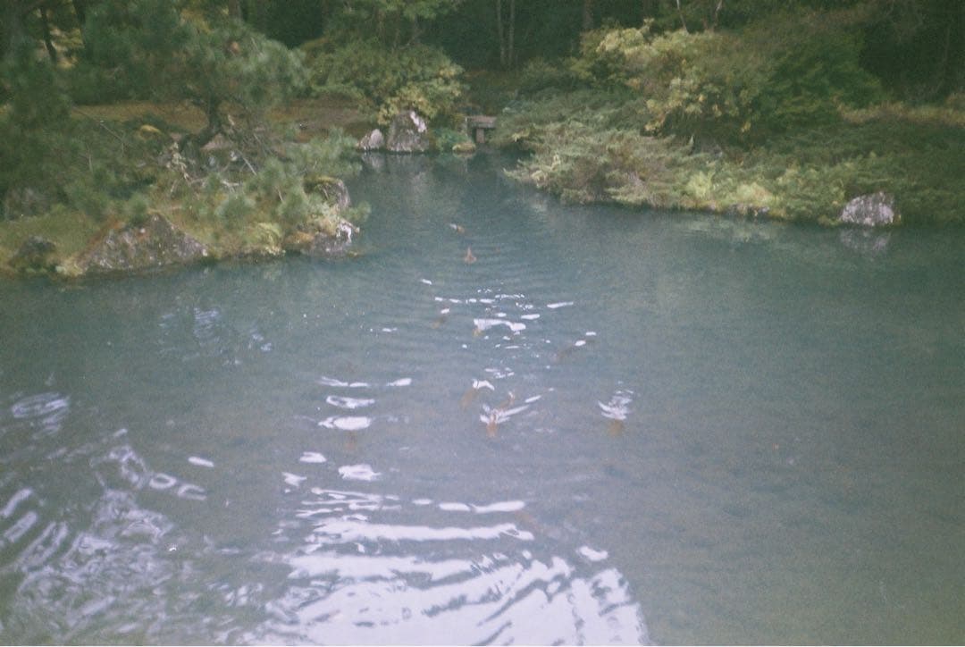 Canon Autoboy D5 動作確認済み コンパクトフィルムカメラ