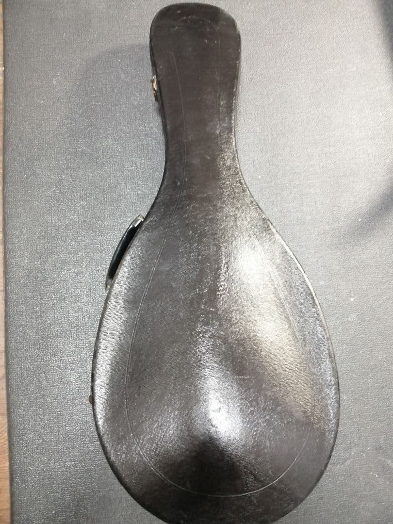 【良品】スズキ SUZUKI マンドラ ケース付き